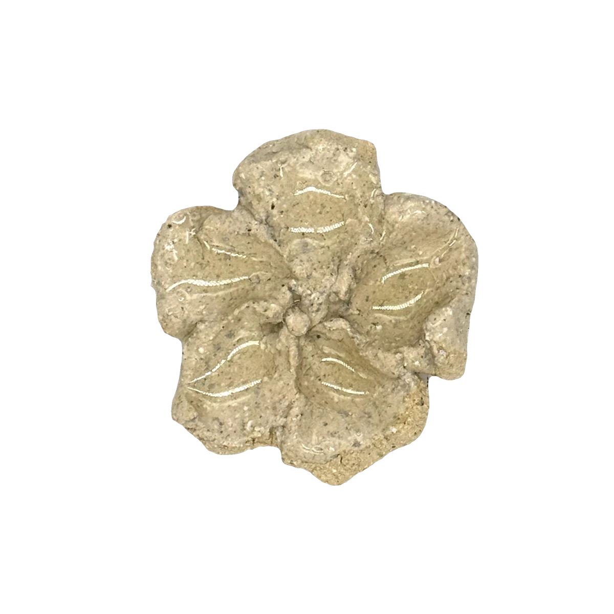 GSTR 00221 — CLSTR ceramic fragment by Renate Frotscher — Front