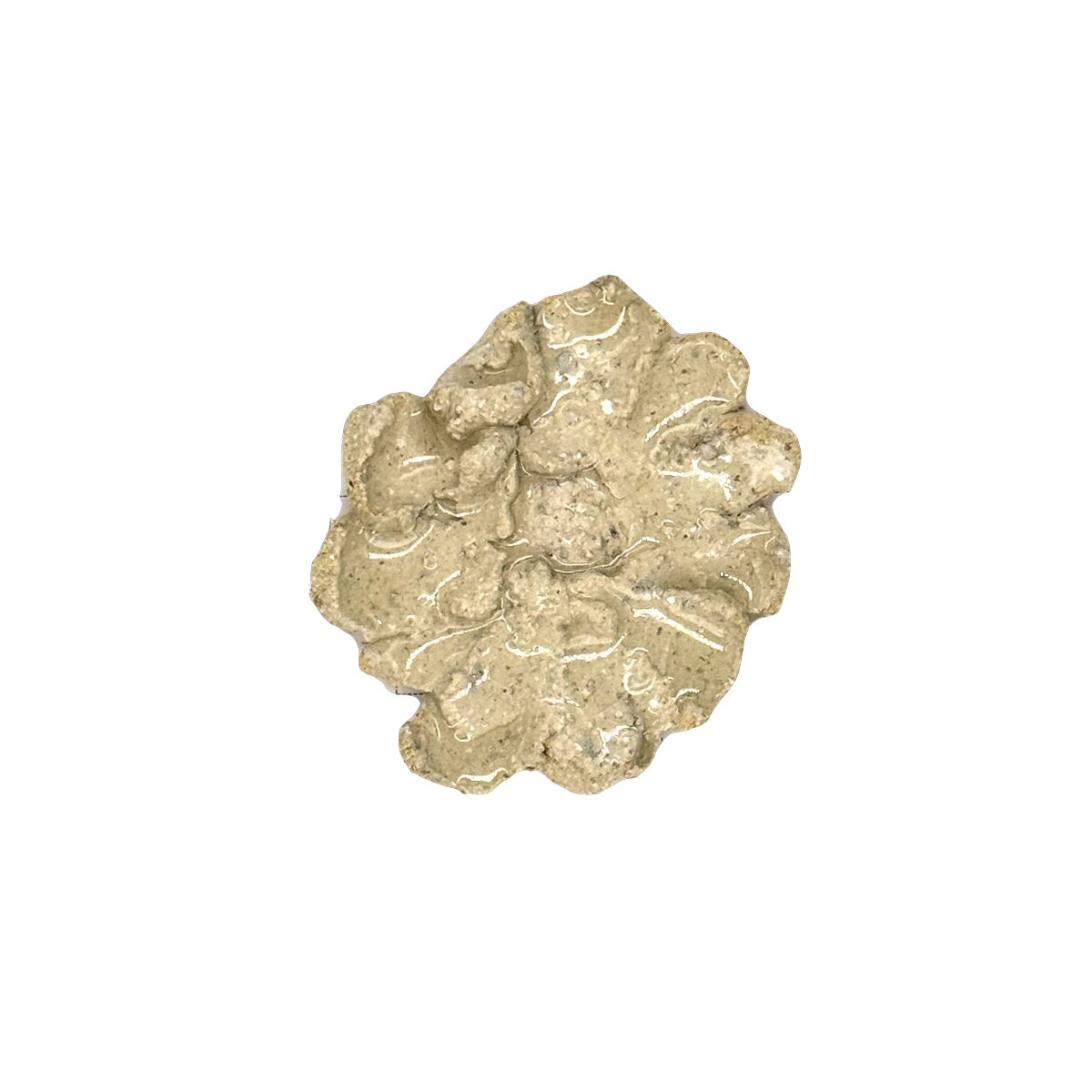 GSTR 00234 — CLSTR ceramic fragment by Renate Frotscher — Front