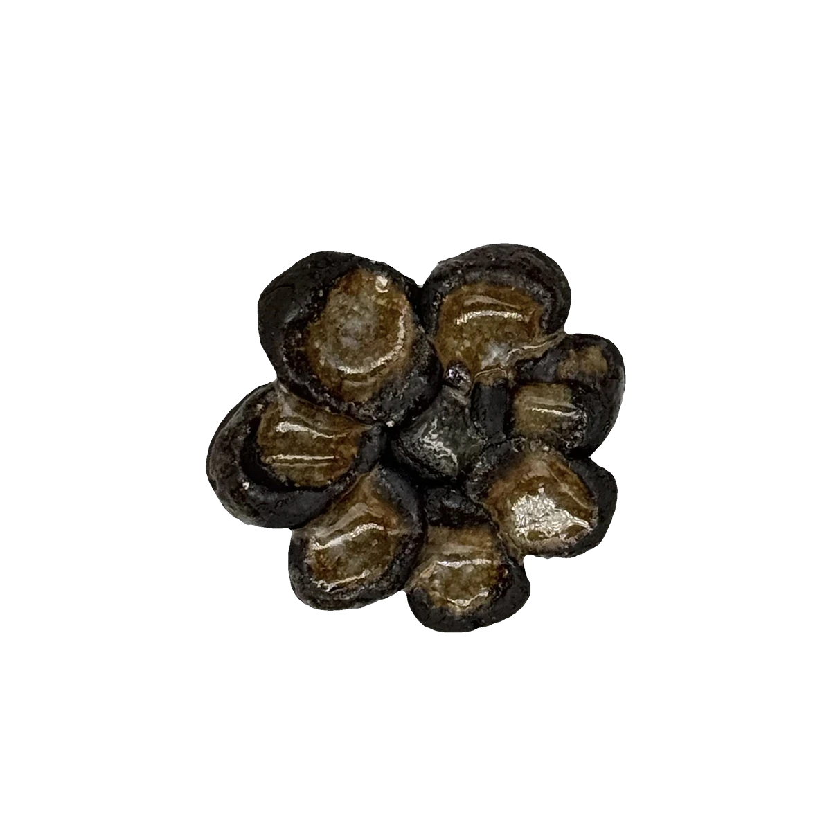 GSTR 00256 — CLSTR ceramic fragment by Renate Frotscher