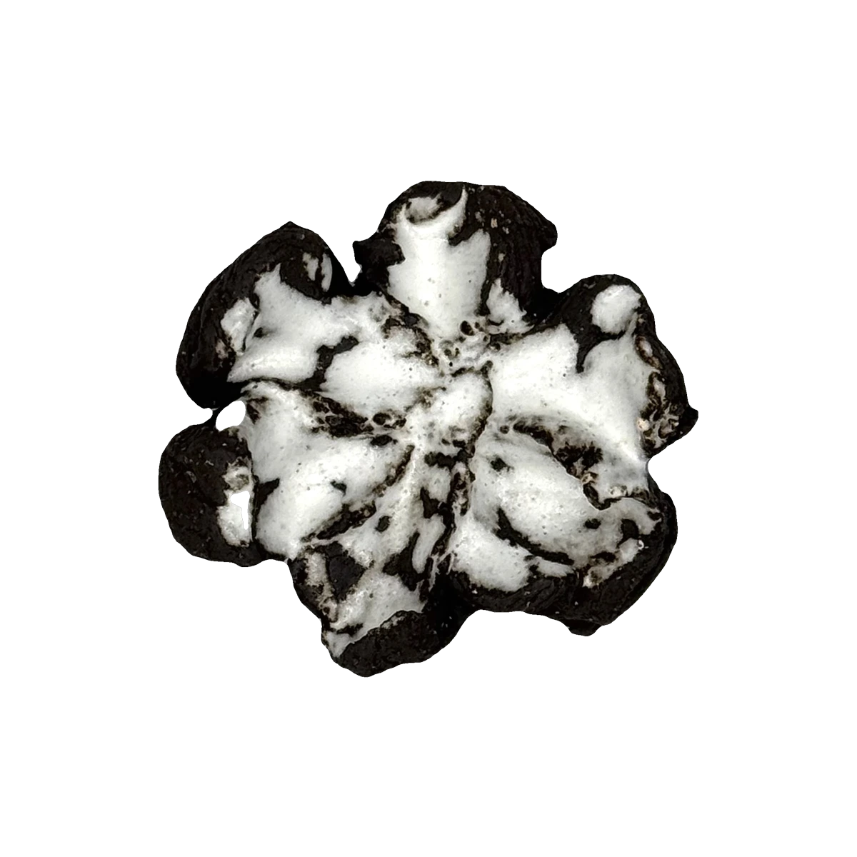 GSTR 00257 — CLSTR ceramic fragment by Renate Frotscher — Front