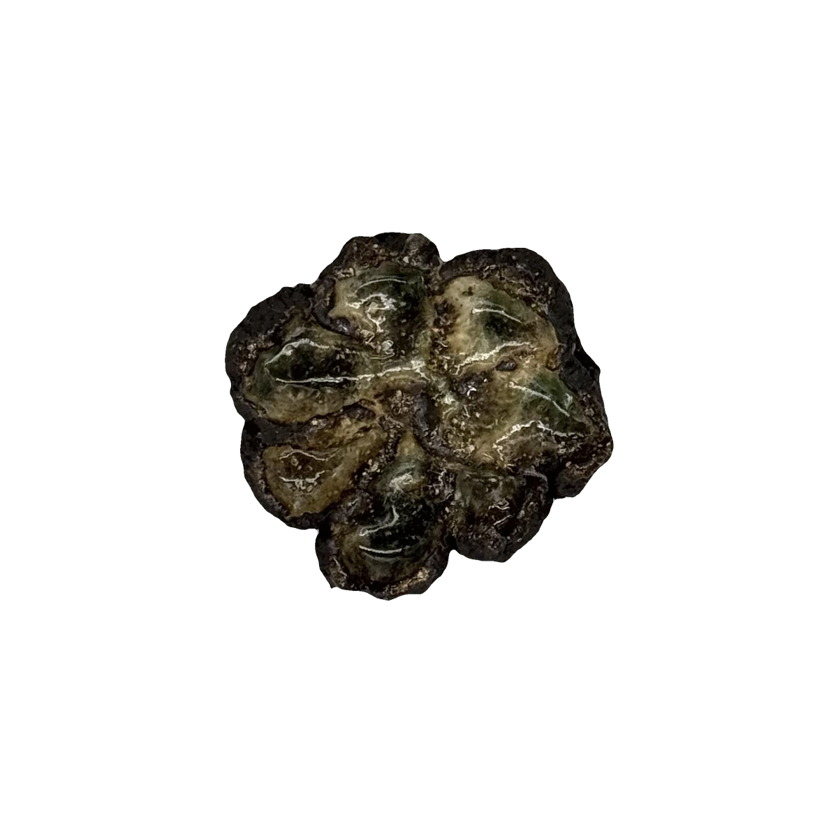 GSTR 00265 — CLSTR ceramic fragment by Renate Frotscher — Avant