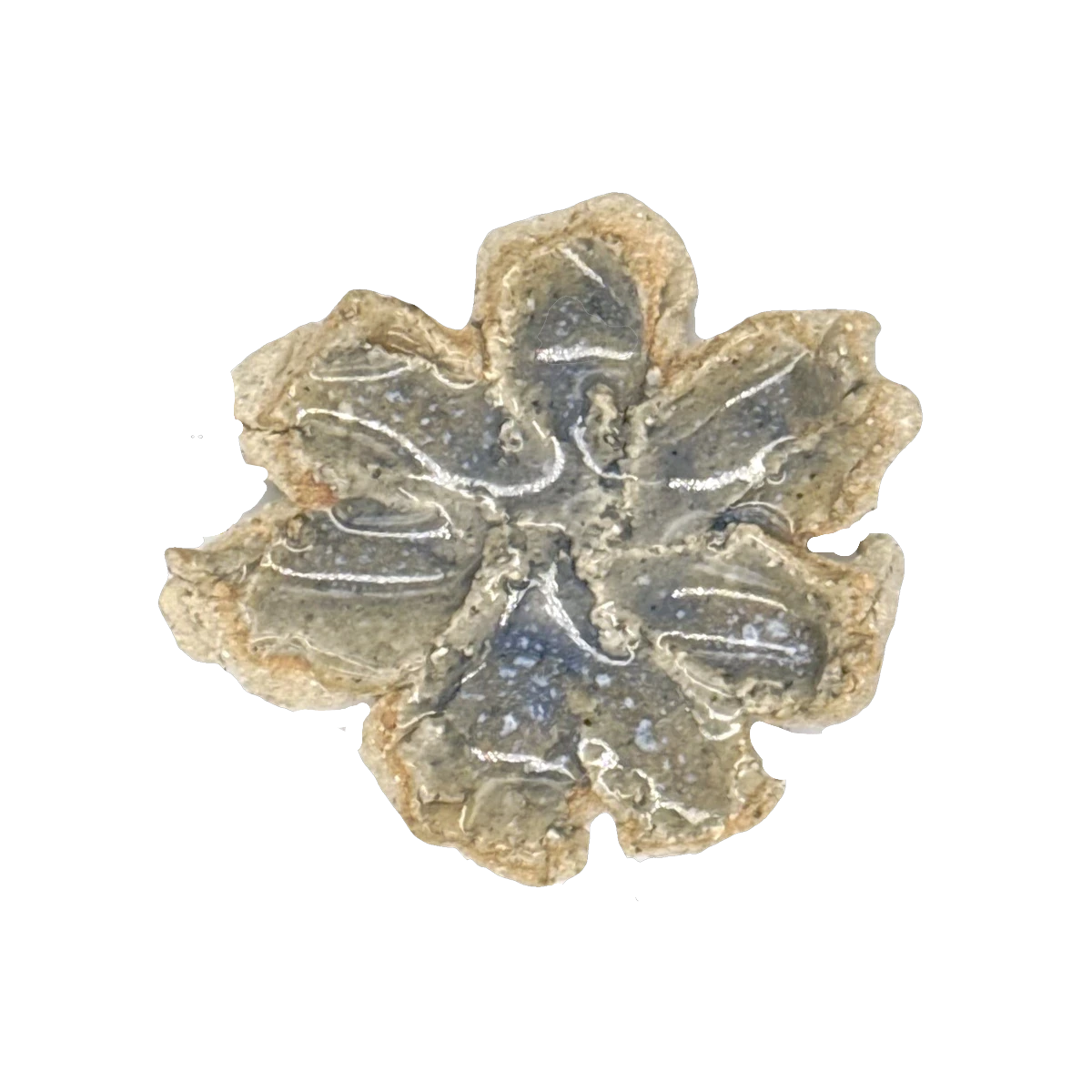 GSTR 00298 — CLSTR ceramic fragment by Renate Frotscher — Avant