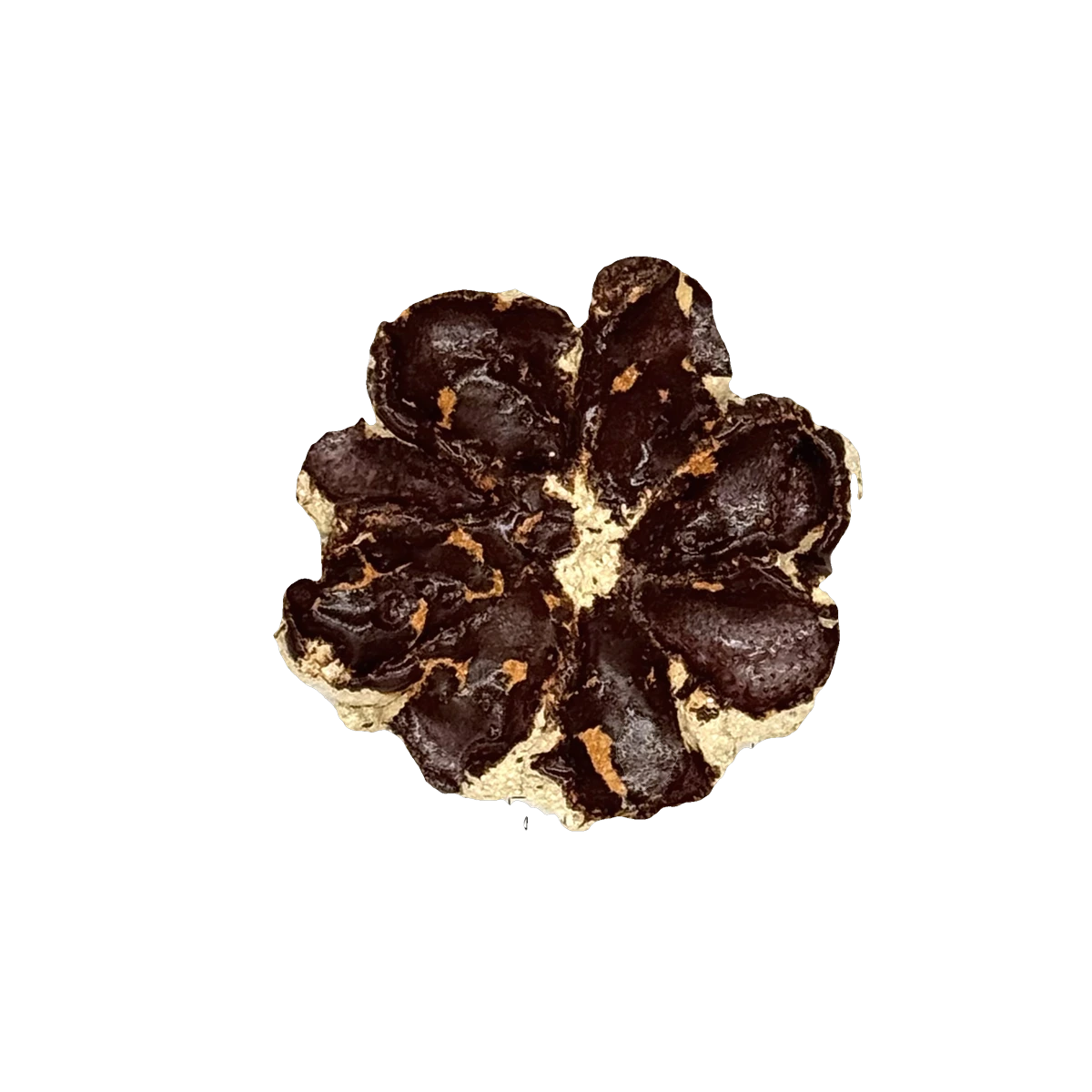 GSTR 00239 — CLSTR ceramic fragment by Renate Frotscher