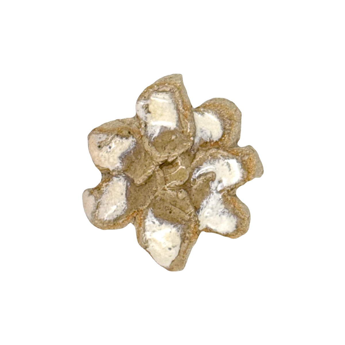 GSTR 00301 — CLSTR ceramic fragment by Renate Frotscher