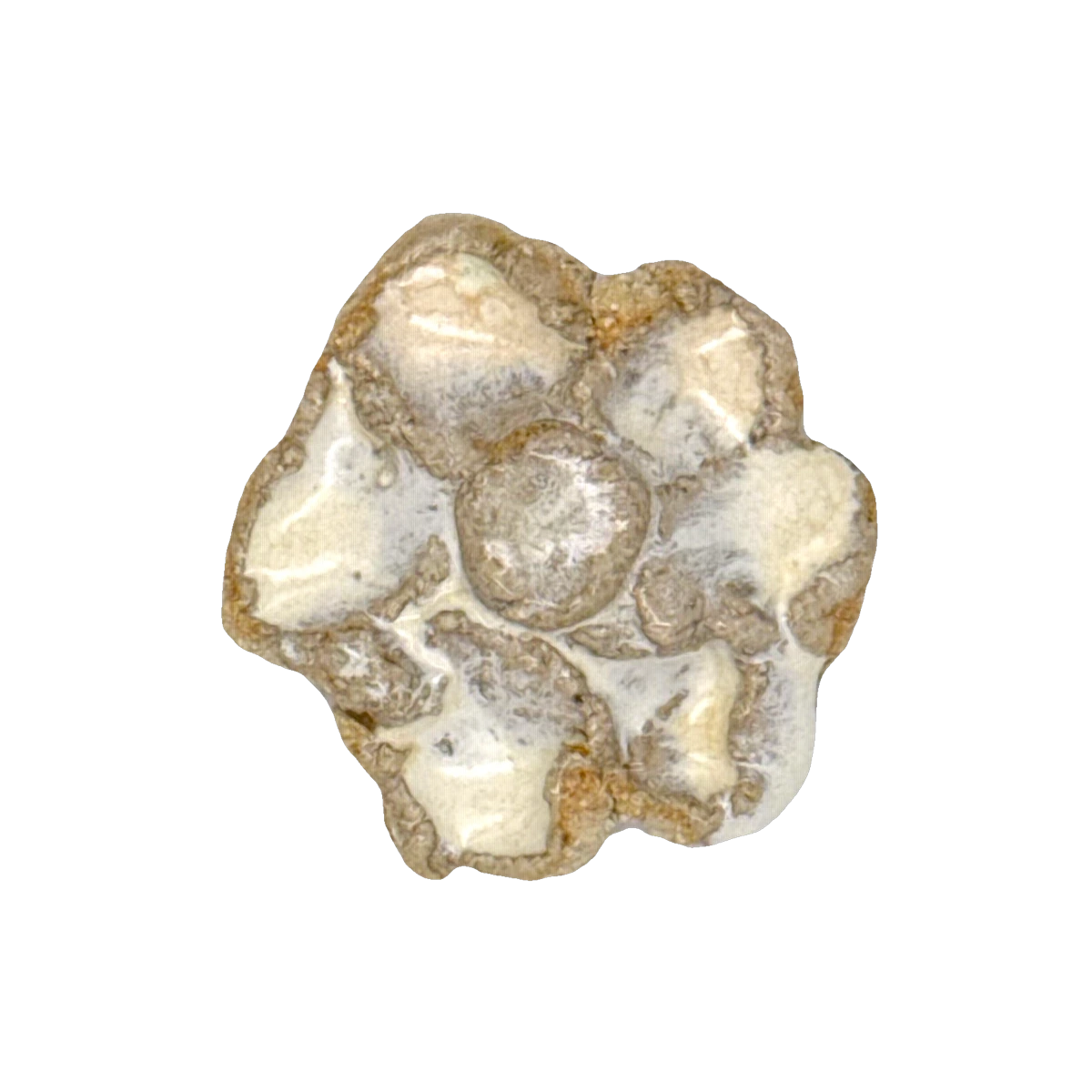 GSTR 00308 — CLSTR ceramic fragment by Renate Frotscher