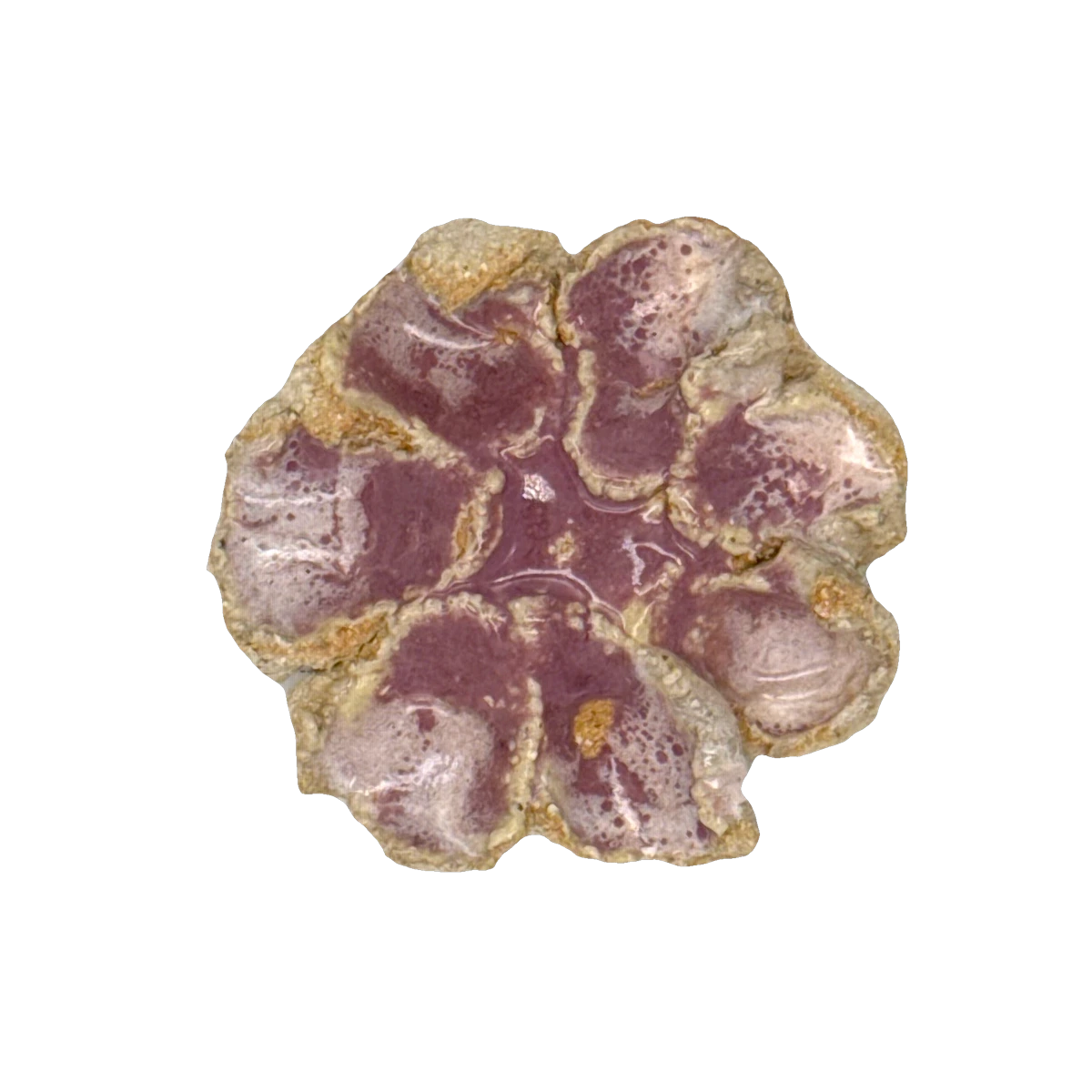 GSTR 00319 — CLSTR ceramic fragment by Renate Frotscher