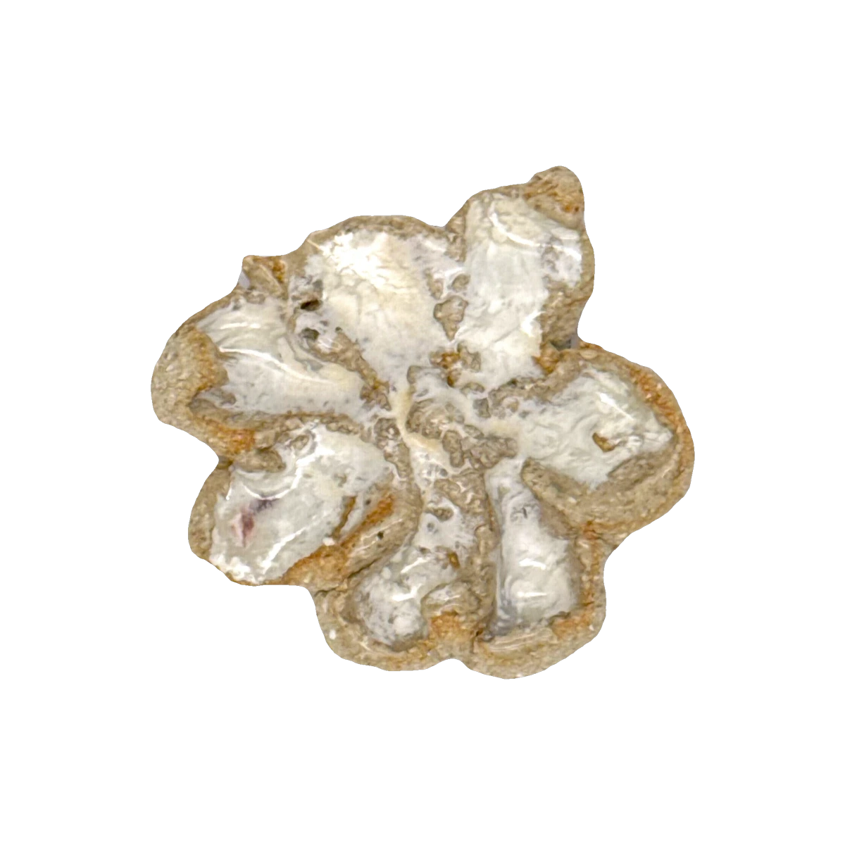 GSTR 00357 — CLSTR ceramic fragment by Renate Frotscher