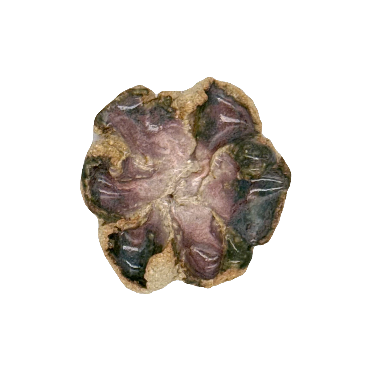 GSTR 00367 — CLSTR ceramic fragment by Renate Frotscher — Front