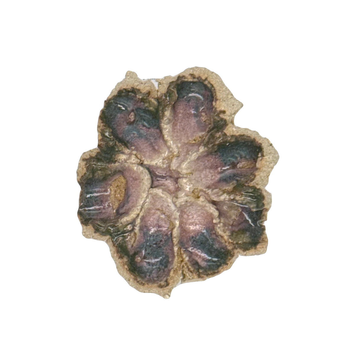 GSTR 00458 — CLSTR ceramic fragment by Renate Frotscher — Front