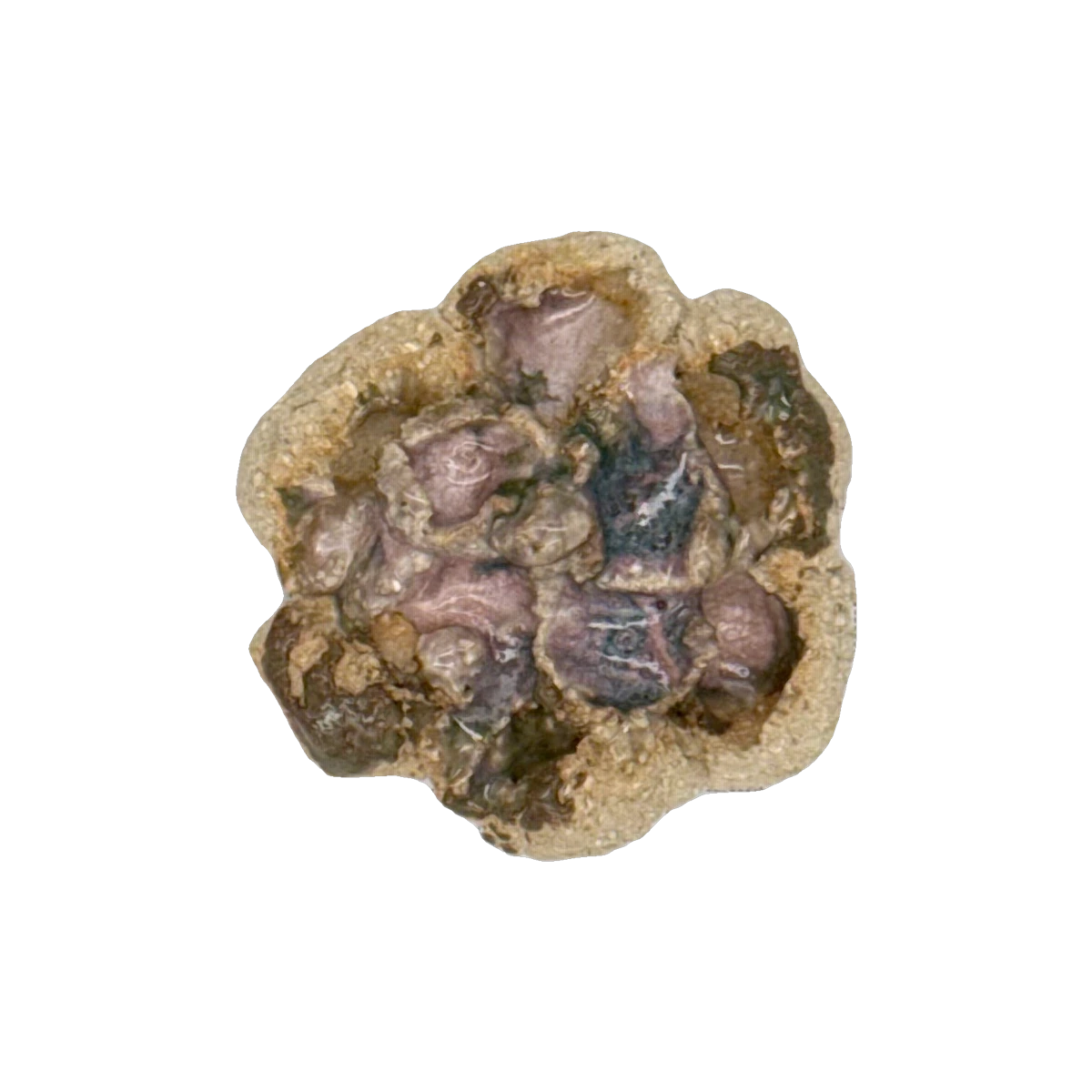 GSTR 00491 — CLSTR ceramic fragment by Renate Frotscher — Front