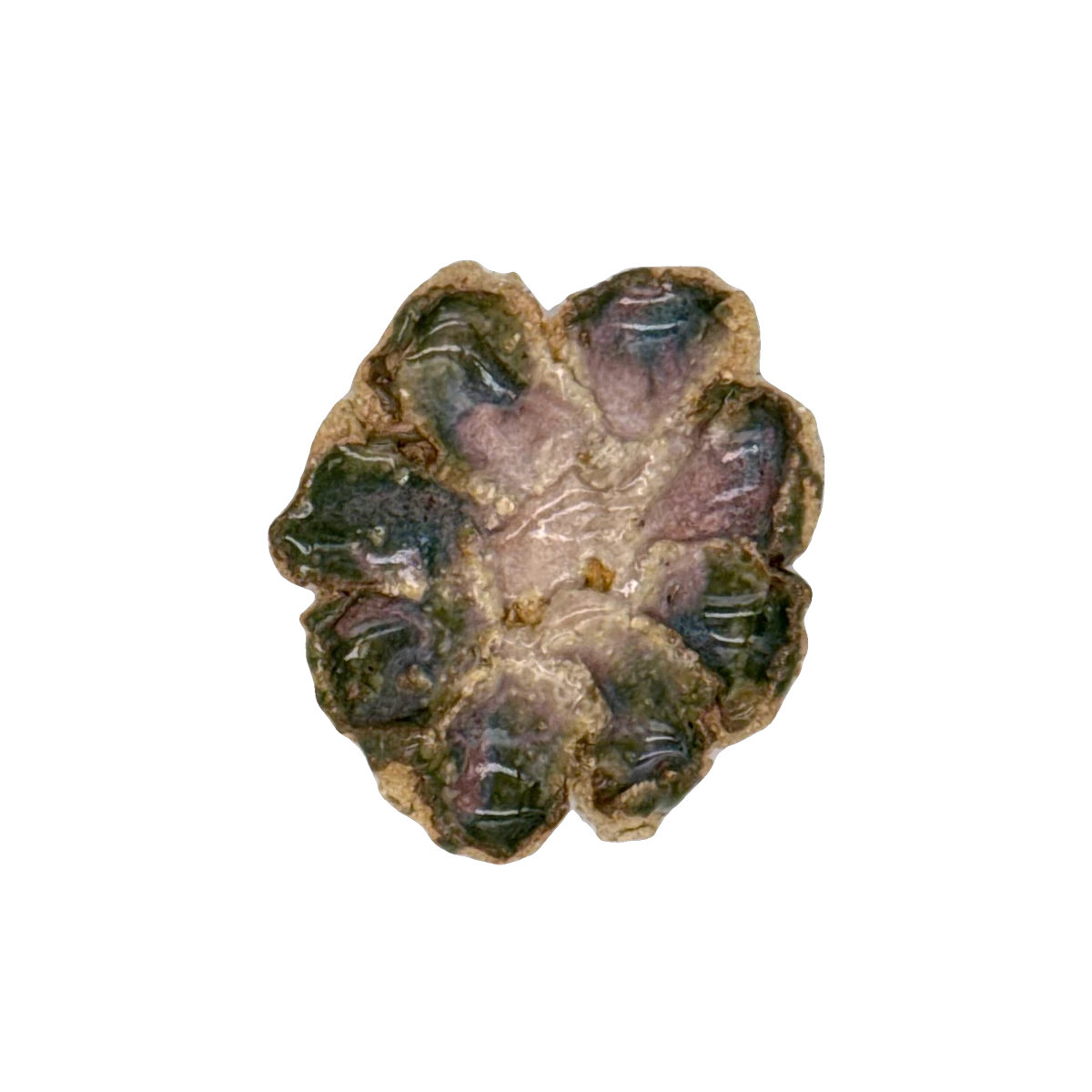 GSTR 00525 — CLSTR ceramic fragment by Renate Frotscher — Front