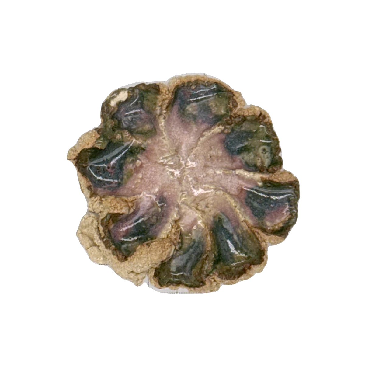 GSTR 00533 — CLSTR ceramic fragment by Renate Frotscher — Avant