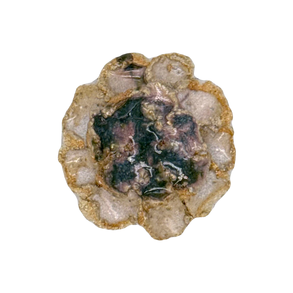 GSTR 00551 — CLSTR ceramic fragment by Renate Frotscher — Avant