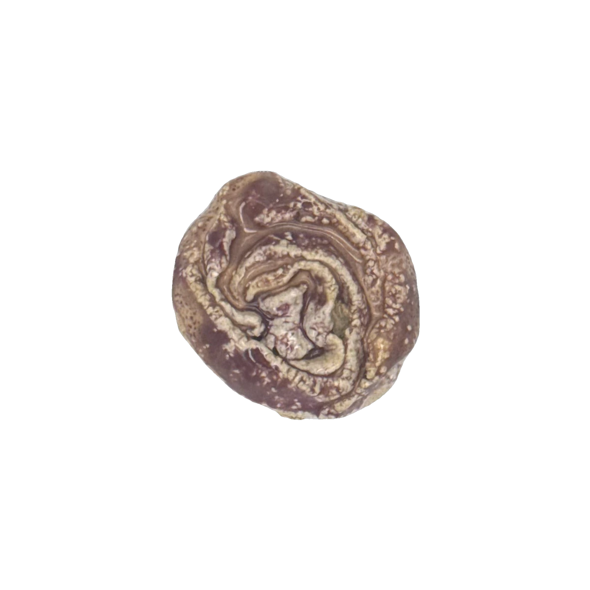 GSTR 00630 — CLSTR ceramic fragment by Renate Frotscher