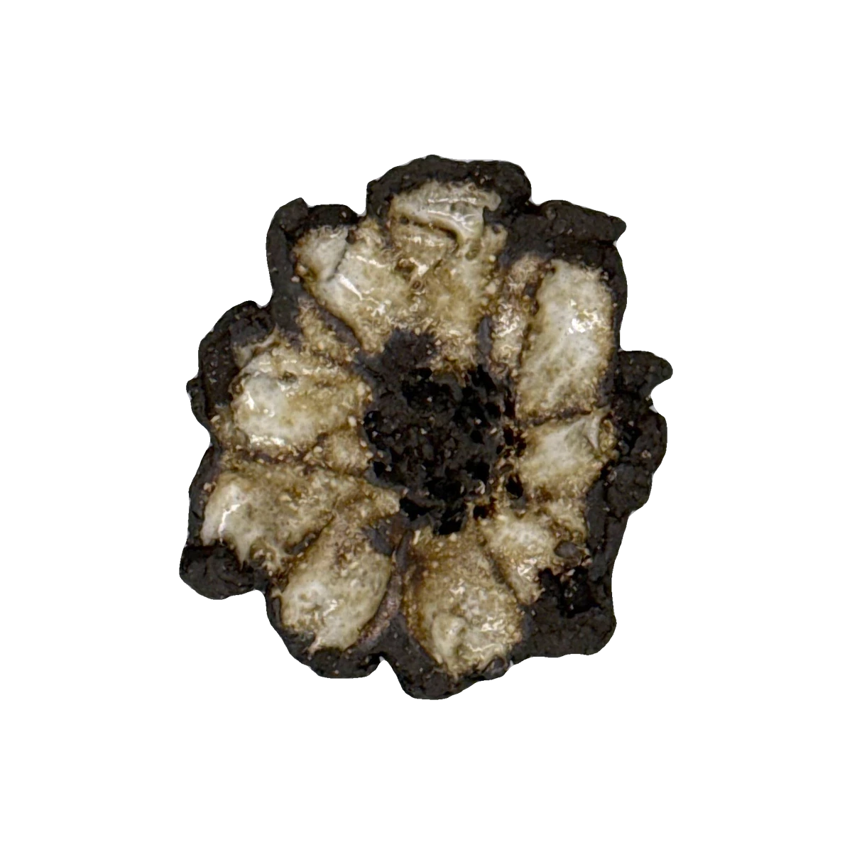 GSTR 00733 — CLSTR ceramic fragment by Renate Frotscher — Avant
