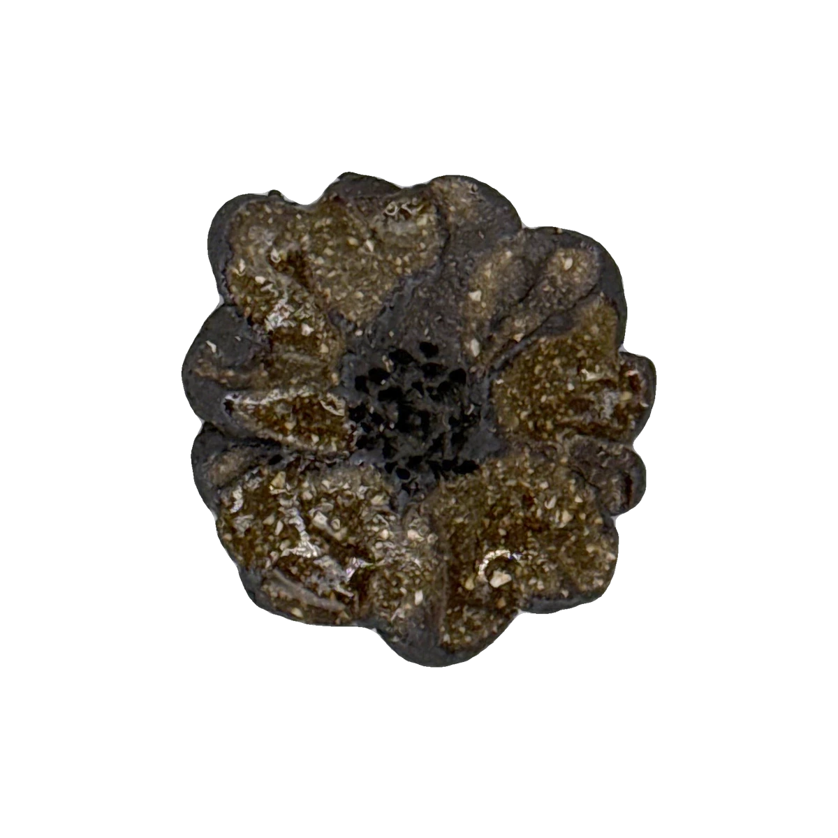 GSTR 00737 — CLSTR ceramic fragment by Renate Frotscher — Avant
